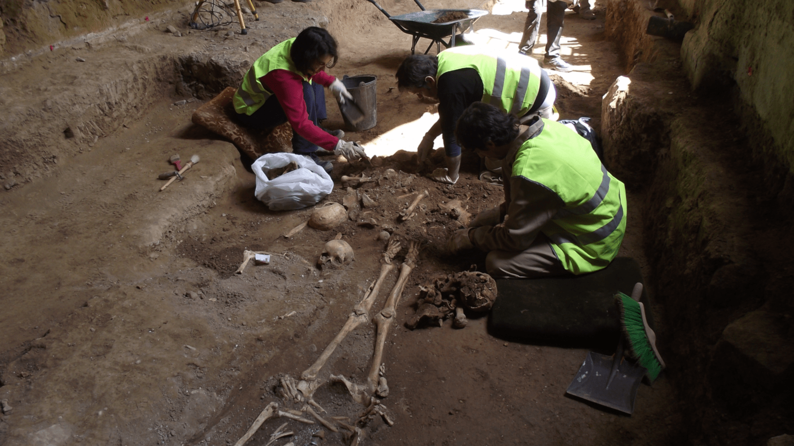 
              ARQUEOLOGÍA DE GESTIÓN            